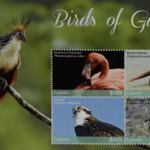 Birds of Guyana