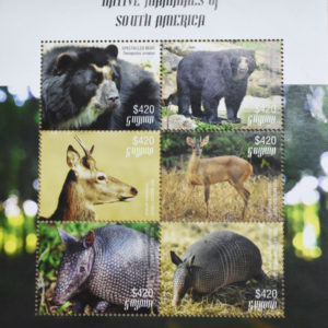 Native Mammals of South America